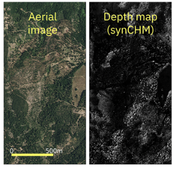 An aerial image beside the model-predicted synthetic canopy height model for the same area